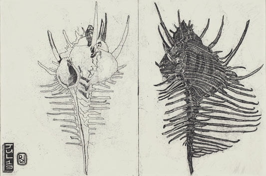Shell etching