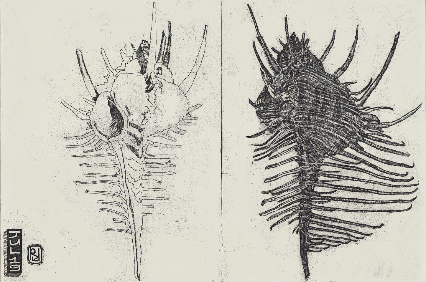 Shell etching
