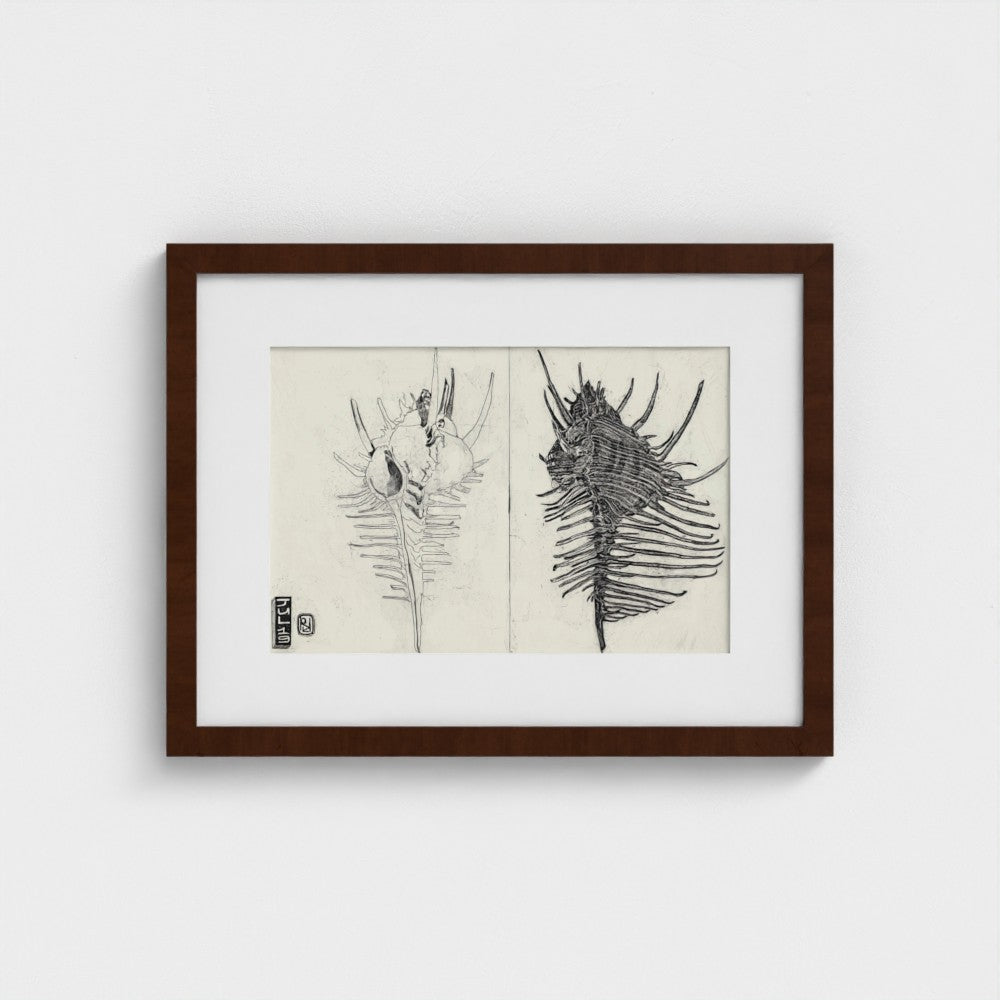 Shell etching