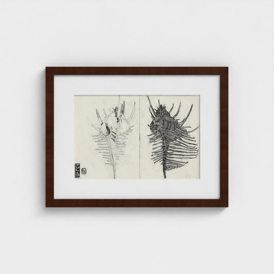 Shell etching
