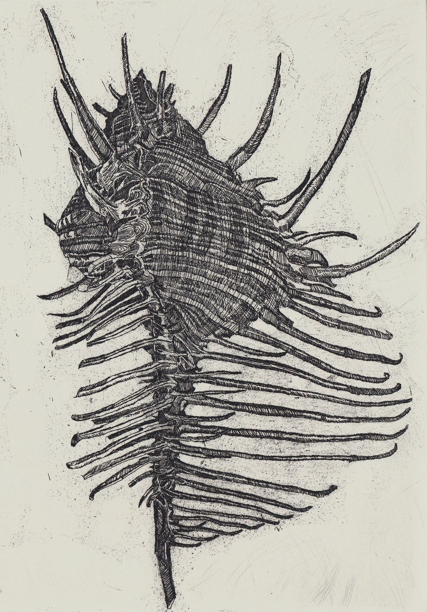 Shell etching