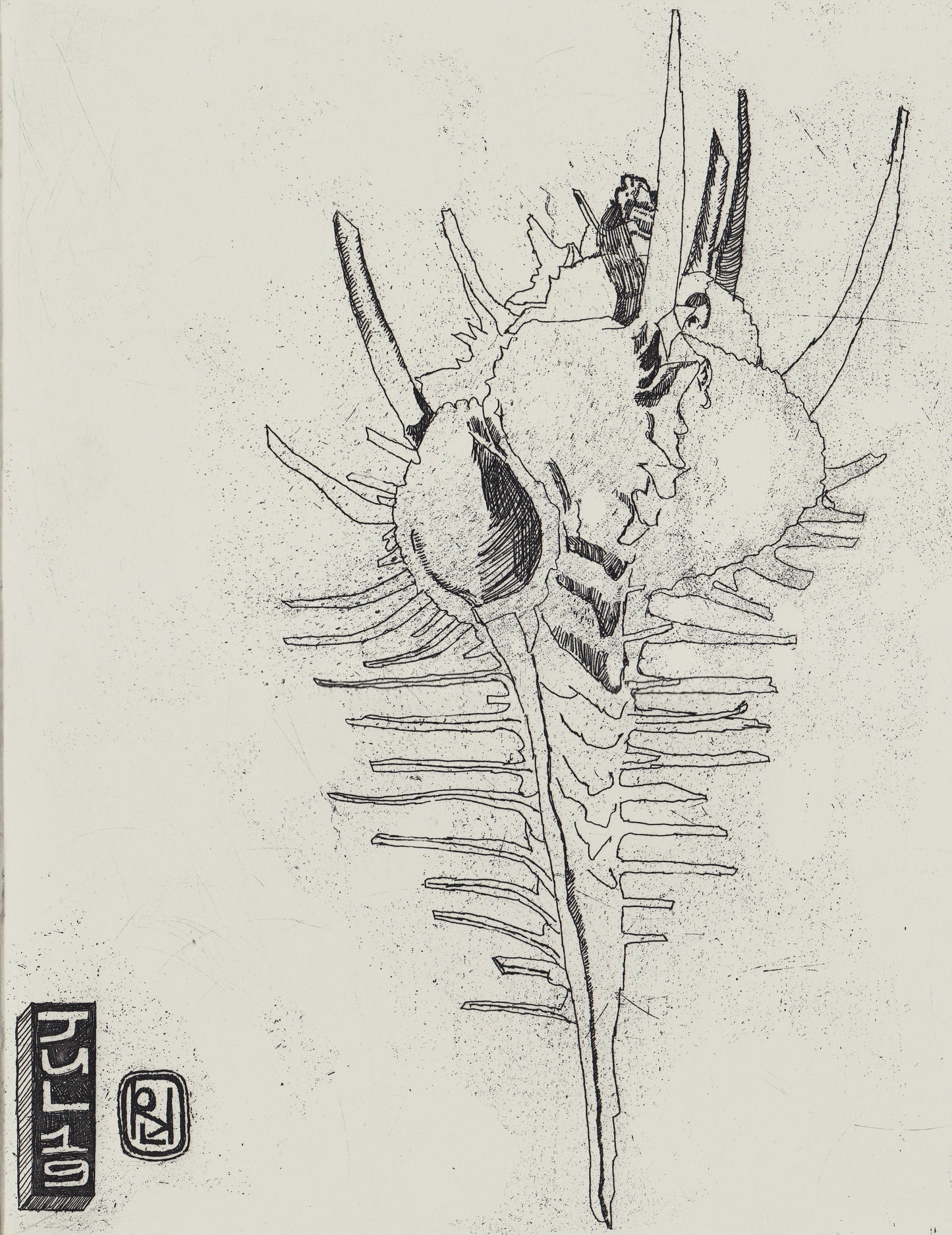 Shell etching